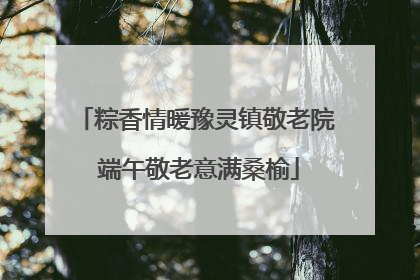 粽香情暖豫灵镇敬老院 端午敬老意满桑榆