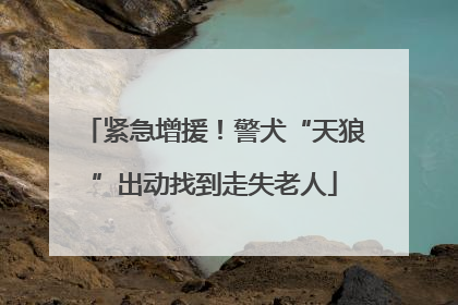 紧急增援！警犬“天狼”出动找到走失老人