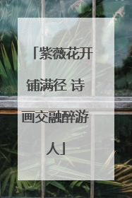 紫薇花开铺满径 诗画交融醉游人