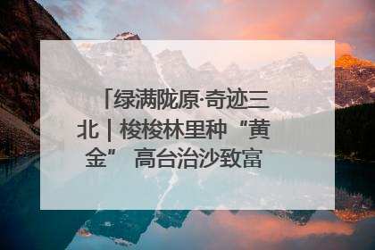 绿满陇原·奇迹三北｜梭梭林里种“黄金” 高台治沙致富很“从容”