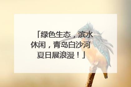 绿色生态，滨水休闲，青岛白沙河夏日展浪漫！