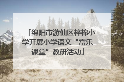绵阳市游仙区梓棉小学开展小学语文“富乐课堂”教研活动