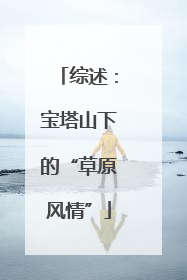 综述：宝塔山下的“草原风情”