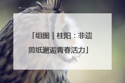 组图｜桂阳：非遗剪纸邂逅青春活力