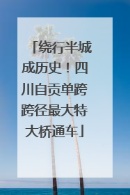 绕行半城成历史！四川自贡单跨跨径最大特大桥通车
