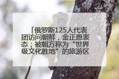 俄罗斯125人代表团访问朝鲜，金正恩表态；被朝方称为“世界级文化胜地”的旅游区，将首次接待俄游客