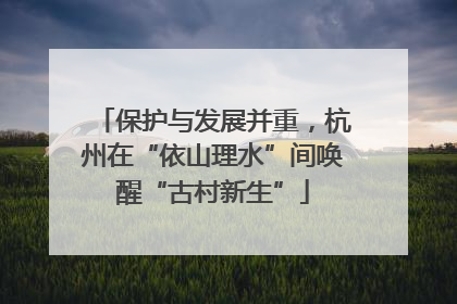 保护与发展并重，杭州在“依山理水”间唤醒“古村新生”