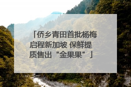 侨乡青田首批杨梅启程新加坡 保鲜提质售出“金果果”