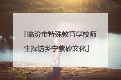 临汾市特殊教育学校师生探访乡宁紫砂文化