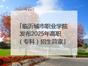 临沂城市职业学院发布2025年高职（专科）招生简章