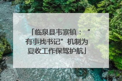 临泉县韦寨镇：“有事找书记”机制为夏收工作保驾护航