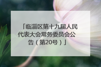 临淄区第十九届人民代表大会常务委员会公告（第20号）