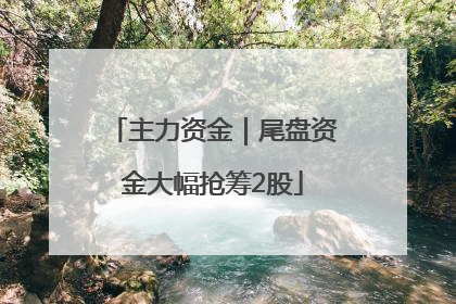 主力资金｜尾盘资金大幅抢筹2股