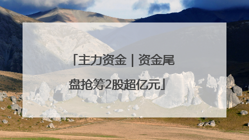 主力资金｜资金尾盘抢筹2股超亿元