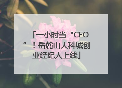 一小时当“CEO”！岳麓山大科城创业经纪人上线