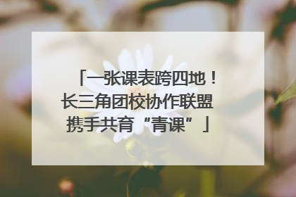 一张课表跨四地！长三角团校协作联盟携手共育“青课”