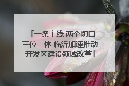一条主线 两个切口 三位一体 临沂加速推动开发区建设领域改革