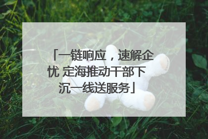 一链响应，速解企忧 定海推动干部下沉一线送服务