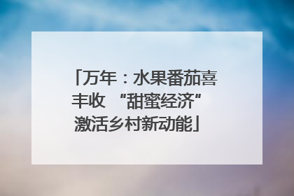 万年：水果番茄喜丰收 “甜蜜经济”激活乡村新动能