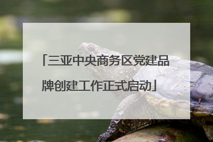 三亚中央商务区党建品牌创建工作正式启动