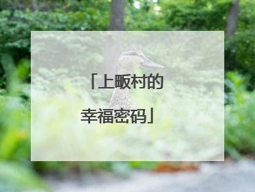 上畈村的幸福密码