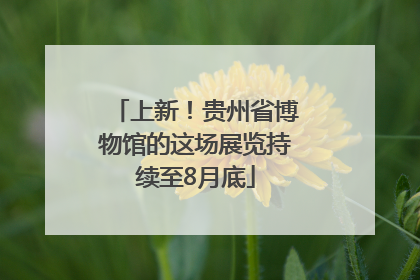 上新！贵州省博物馆的这场展览持续至8月底
