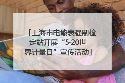 上海市电能表强制检定站开展“5·20世界计量日”宣传活动