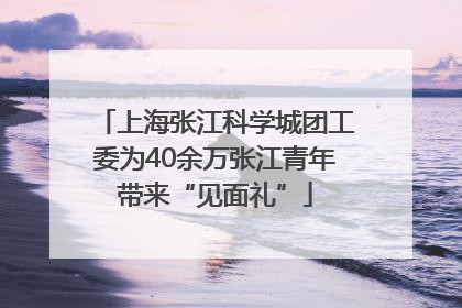 上海张江科学城团工委为40余万张江青年带来“见面礼”