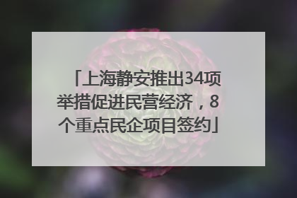 上海静安推出34项举措促进民营经济，8个重点民企项目签约