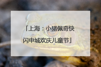 上海：小猪佩奇快闪申城欢庆儿童节