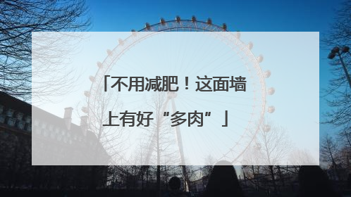 不用减肥！这面墙上有好“多肉”