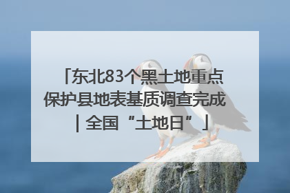 东北83个黑土地重点保护县地表基质调查完成｜全国“土地日”