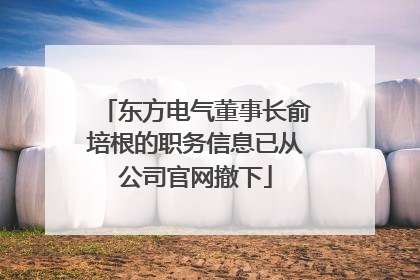 东方电气董事长俞培根的职务信息已从公司官网撤下