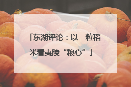 东湖评论：以一粒稻米看夷陵“粮心”