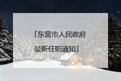 东营市人民政府最新任职通知