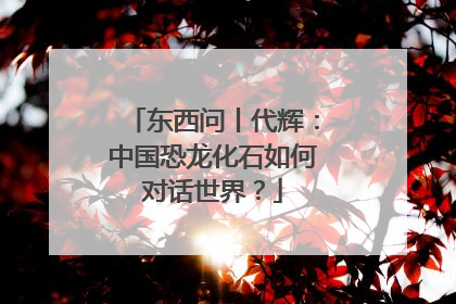 东西问丨代辉：中国恐龙化石如何对话世界？