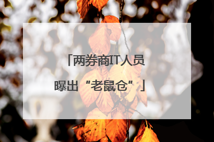 两券商IT人员曝出“老鼠仓”