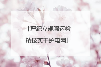 严纪立规强运检 精技实干护电网