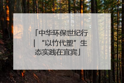 中华环保世纪行｜“以竹代塑”生态实践在宜宾
