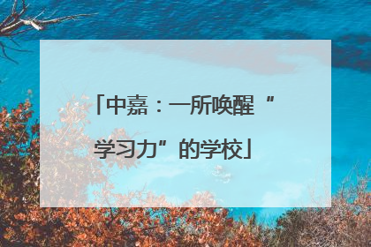 中嘉：一所唤醒“学习力”的学校