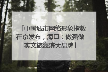 中国城市网络形象指数在京发布，海口：做强做实文旅海滨大品牌