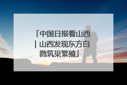 中国日报看山西｜山西发现东方白鹳筑巢繁殖