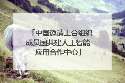 中国邀请上合组织成员国共建人工智能应用合作中心