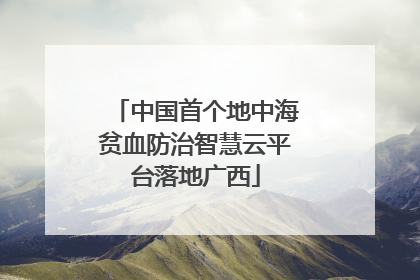 中国首个地中海贫血防治智慧云平台落地广西