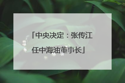 中央决定：张传江任中海油董事长