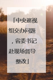中央巡视组交办问题，省委书记赴现场督导整改