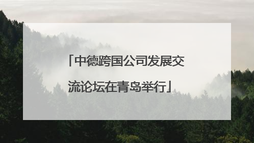中德跨国公司发展交流论坛在青岛举行