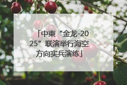 中柬“金龙-2025”联演举行海空方向实兵演练