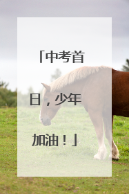 中考首日，少年加油！