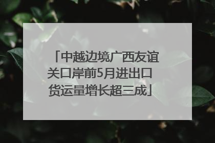 中越边境广西友谊关口岸前5月进出口货运量增长超三成